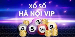 Đôi nét về Hà Nội VIP hot hit